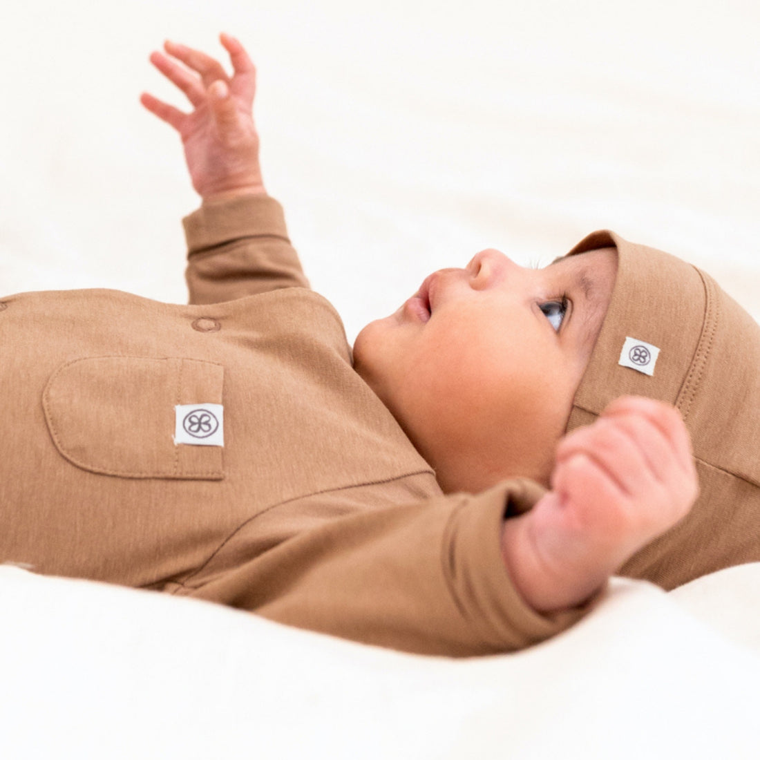 {"type":"root","children":[{"type":"text","value":"Couleurs intemporelles"}]}